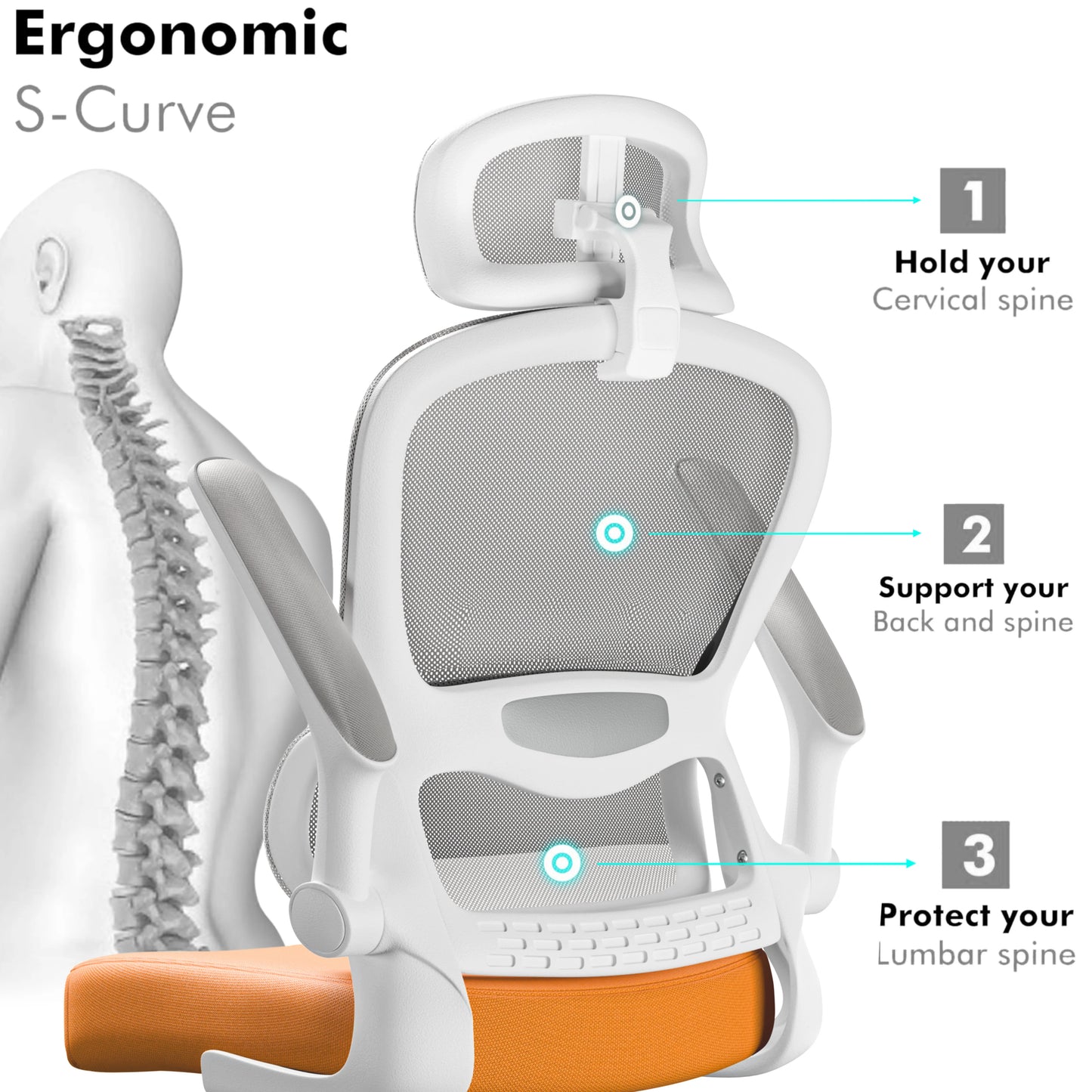 Home Office Chair - Ergonomic Computer Chair with Headrest