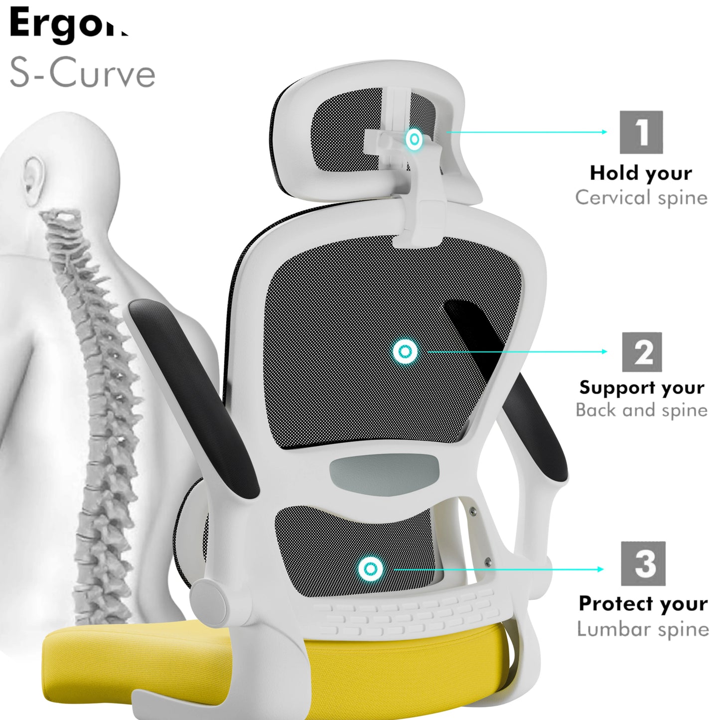 Home Office Chair - Ergonomic Computer Chair with Headrest
