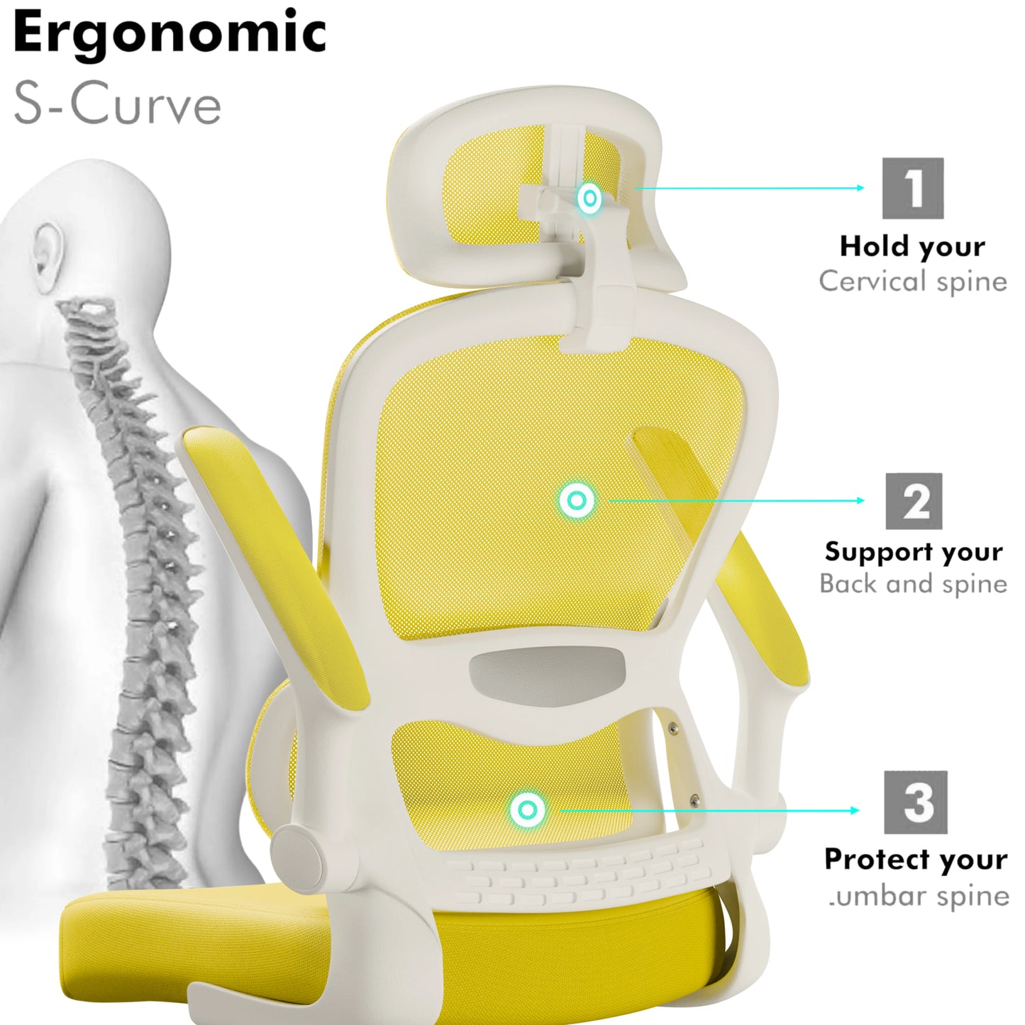 Home Office Chair - Ergonomic Computer Chair with Headrest