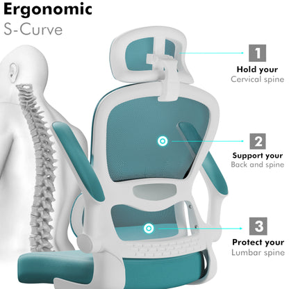 Home Office Chair - Ergonomic Computer Chair with Headrest