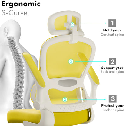 Home Office Chair - Ergonomic Computer Chair with Headrest
