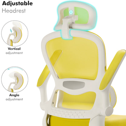 Home Office Chair - Ergonomic Computer Chair with Headrest